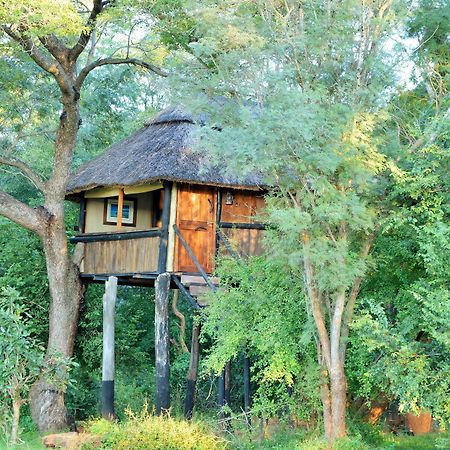 Ivory Lodge Dete Zewnętrze zdjęcie