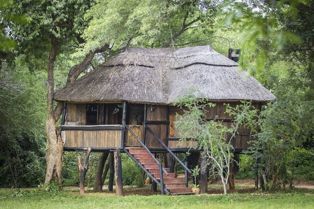 Ivory Lodge Dete Zewnętrze zdjęcie