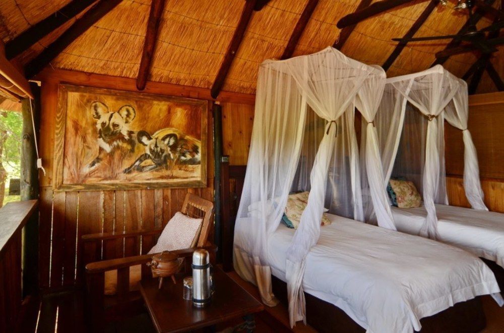 Ivory Lodge Dete Zewnętrze zdjęcie