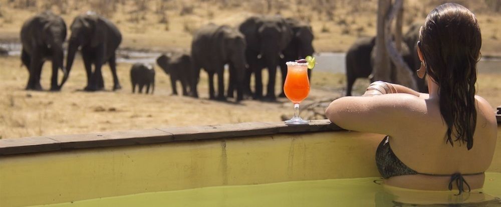 Ivory Lodge Dete Zewnętrze zdjęcie