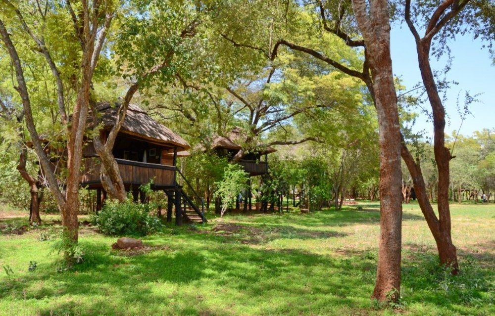 Ivory Lodge Dete Zewnętrze zdjęcie