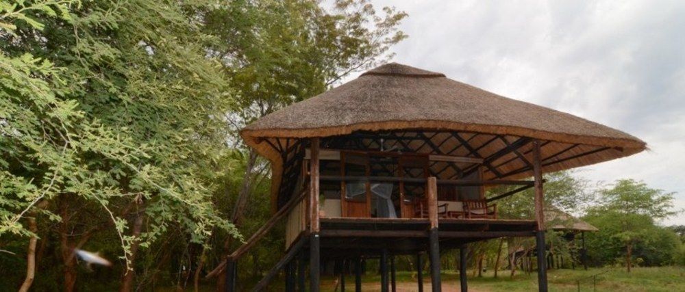 Ivory Lodge Dete Zewnętrze zdjęcie