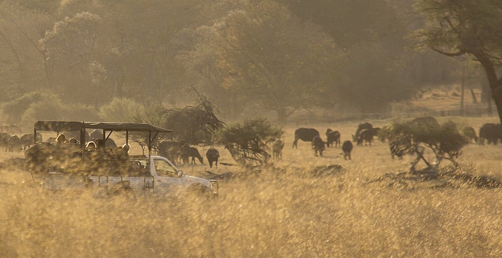 Ivory Lodge Dete Zewnętrze zdjęcie