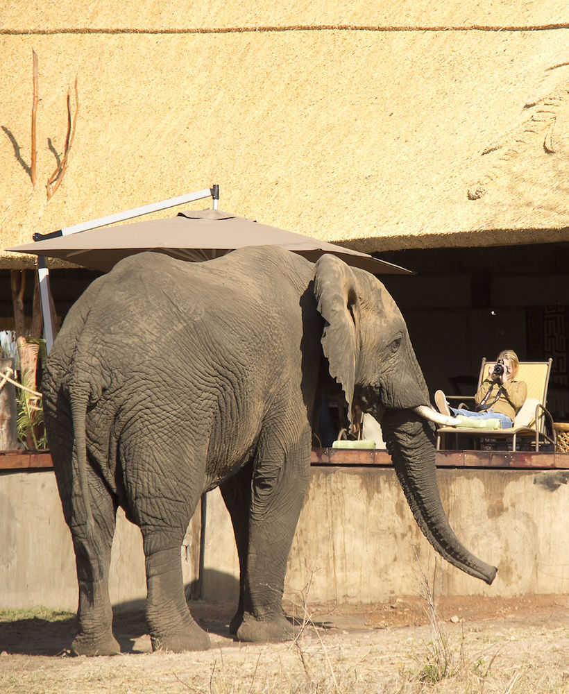 Ivory Lodge Dete Zewnętrze zdjęcie