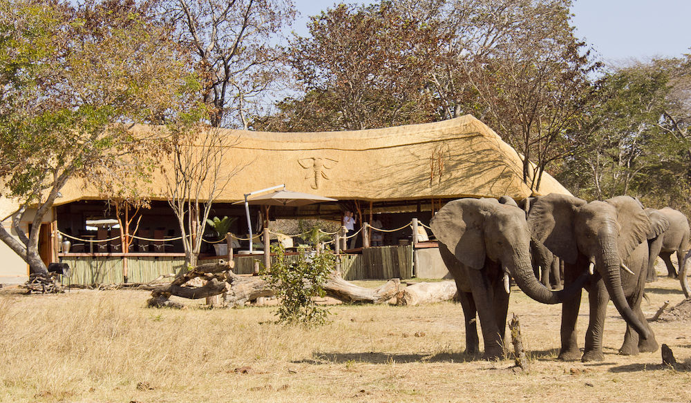 Ivory Lodge Dete Zewnętrze zdjęcie