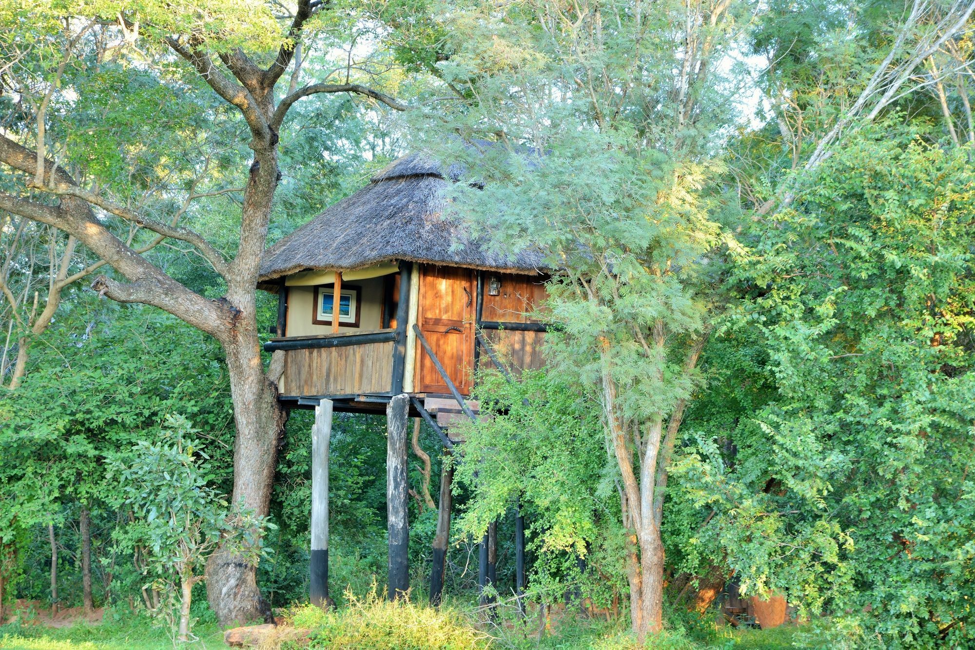 Ivory Lodge Dete Zewnętrze zdjęcie